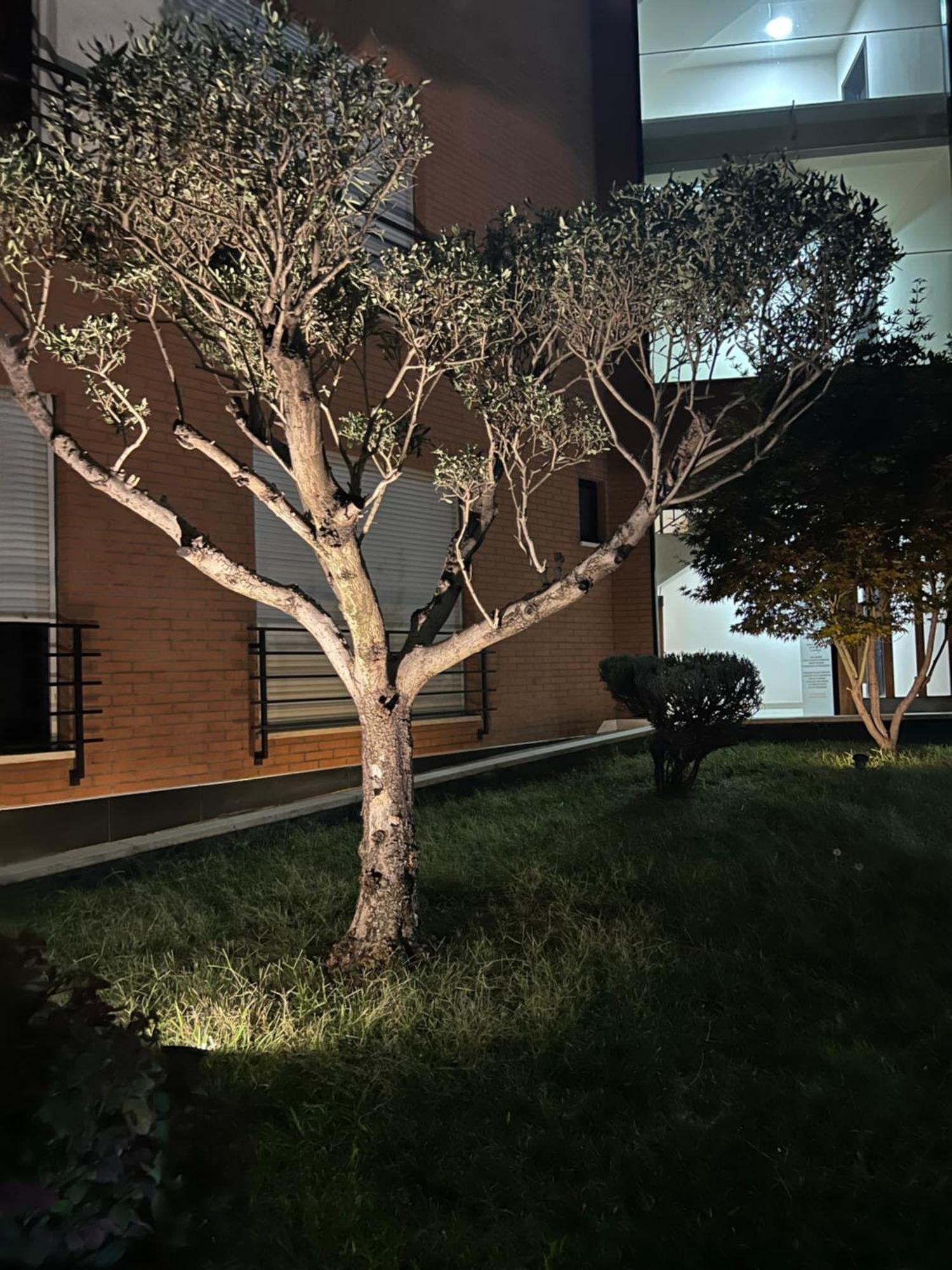 Nemis Apartments In The Centre Of Tirana Four Free Parking Exterior foto